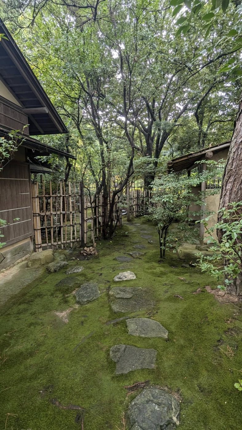 苔むした露地の飛び石